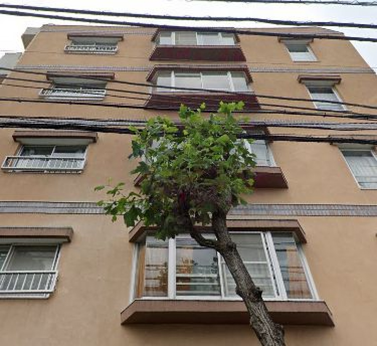 石神井公園サニーコーポ