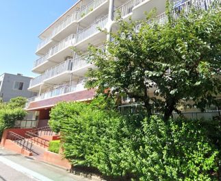 お花茶屋スカイハイツ