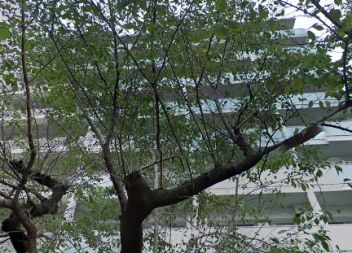 エクセレントシティ白金高輪