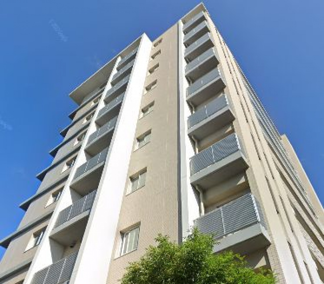 アデニウム　ザ・オアシスガーデン