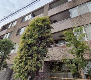 クレッセント新宿柏木