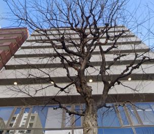 ニューローレルマンション