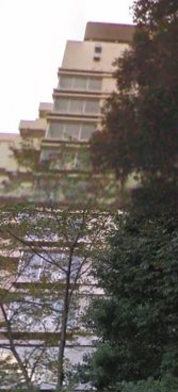 マンション雅叙苑１号館